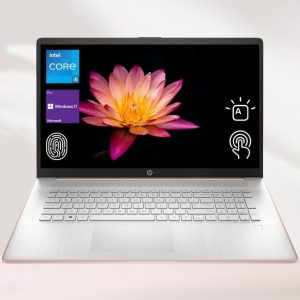 HP 2023 17t Business Professional Rose Gold Laptop